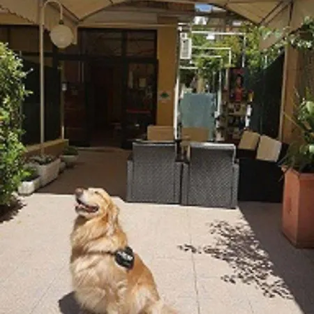 New Happy 3* Rimini